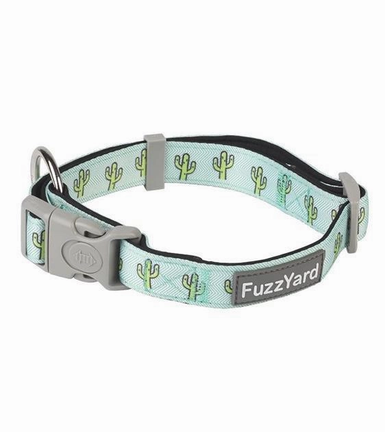 FuzzYard Tucson Dog Collar dog charms,dog ID