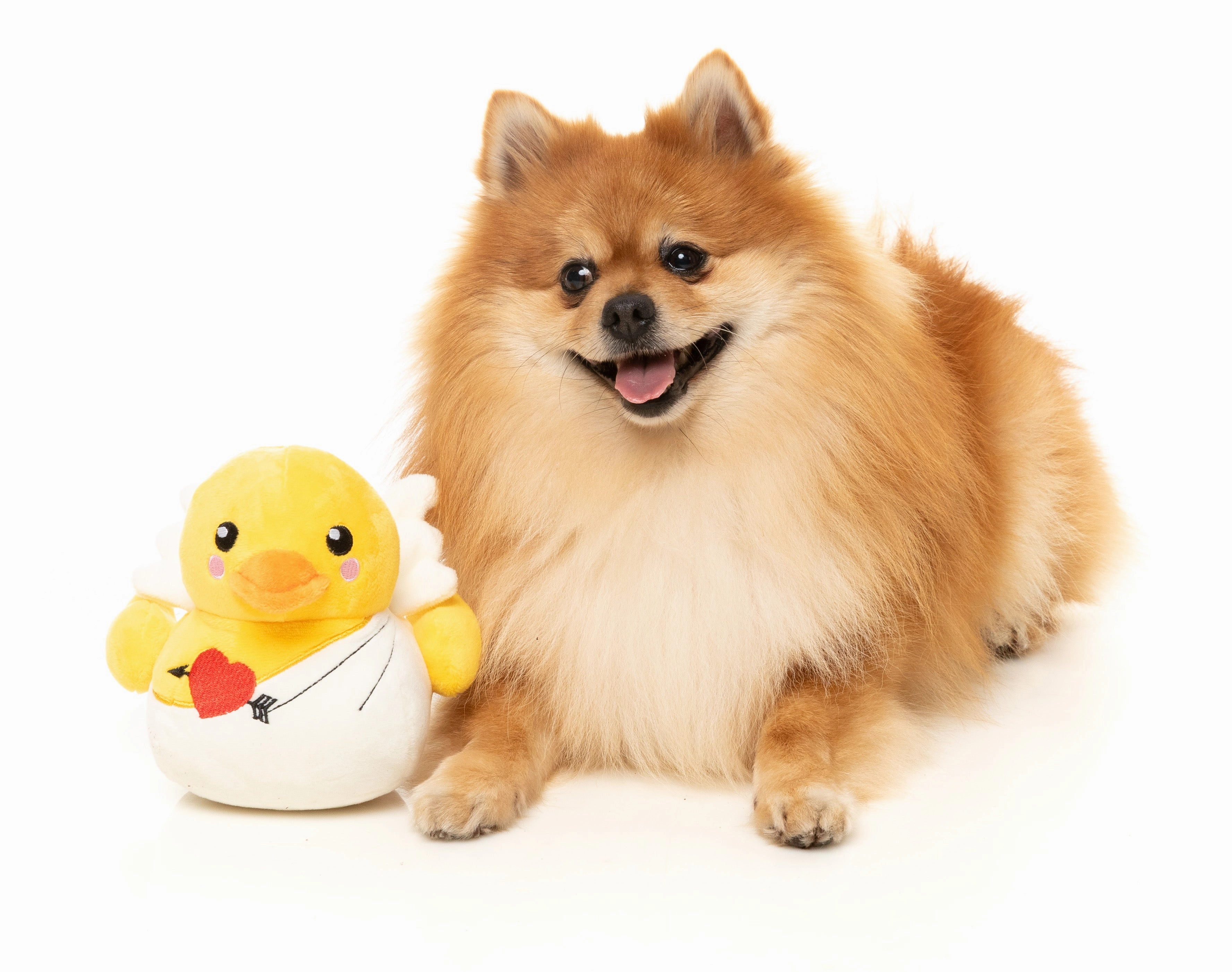 FuzzYard Valentine's Day Plush Dog Toy (Cupid Duck)
