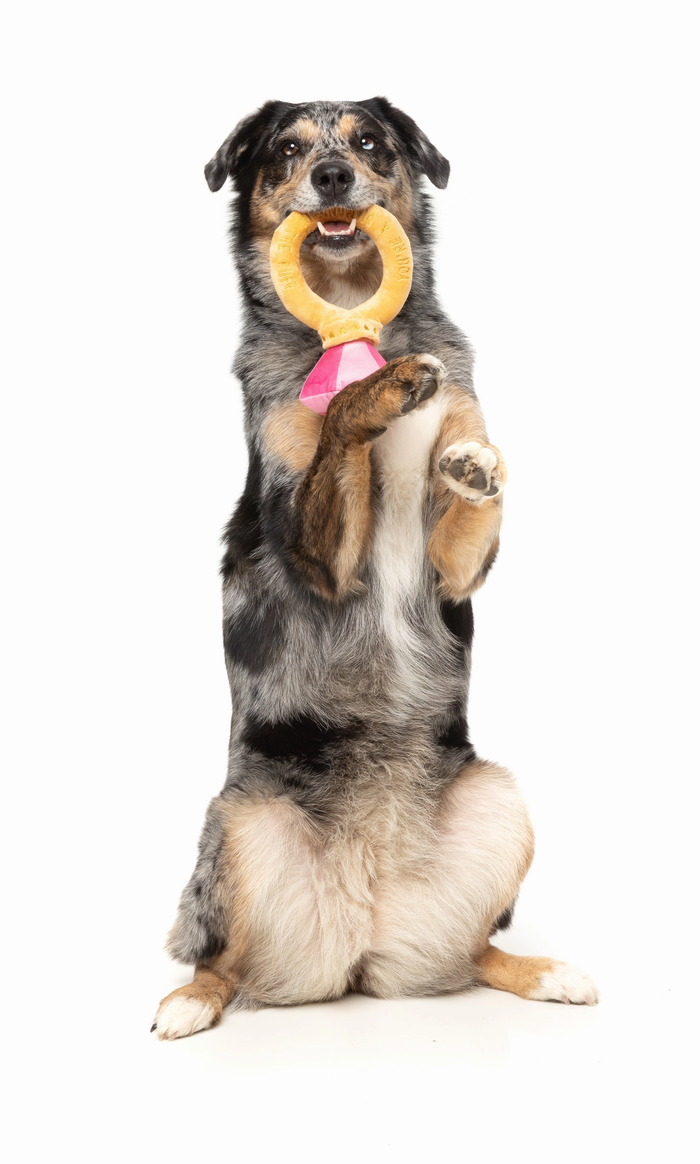 FuzzYard Valentine's Day Plush Dog Toy (Diamond In The Ruff Ring)