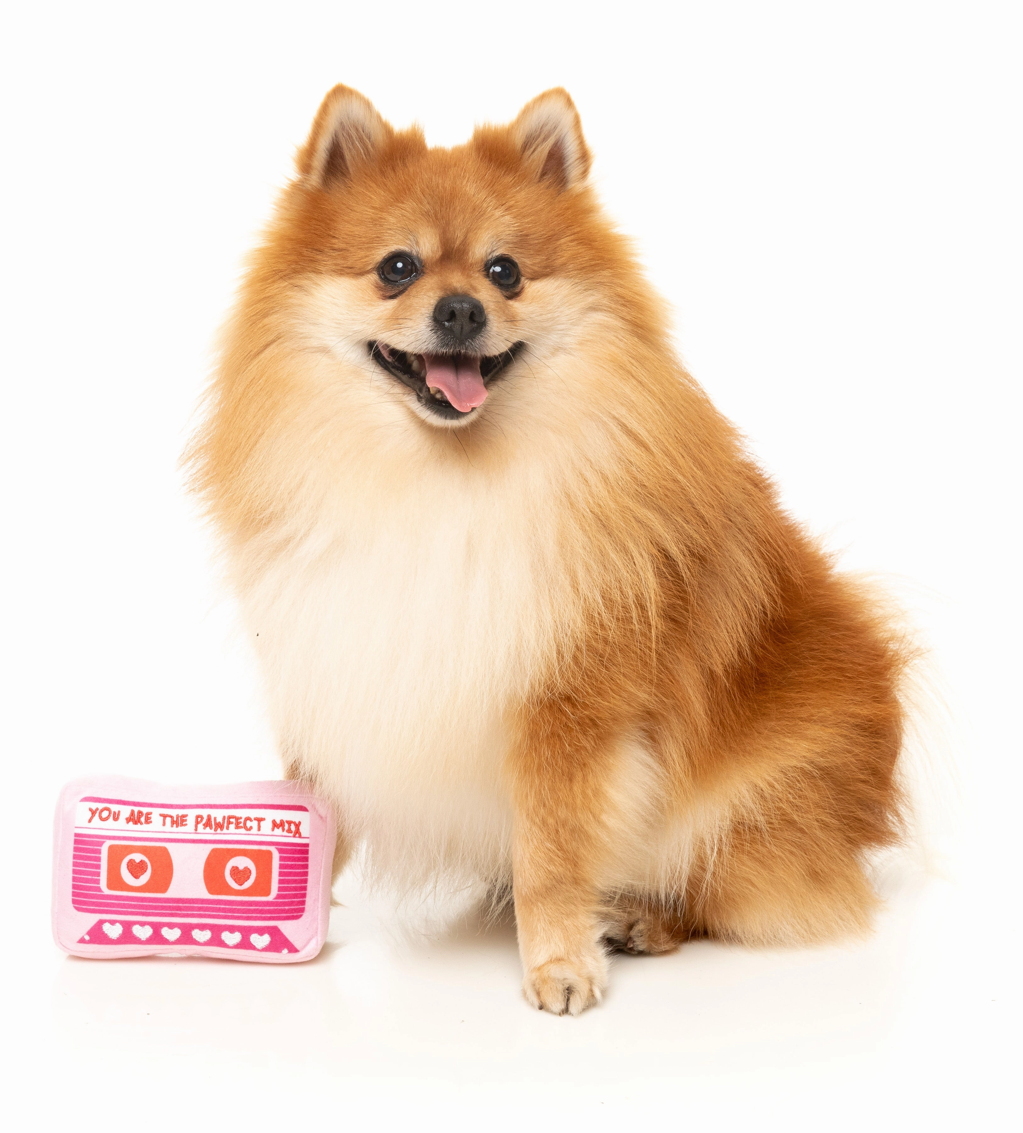 FuzzYard Valentine's Day Plush Dog Toy (Pawfect Mix Tape)