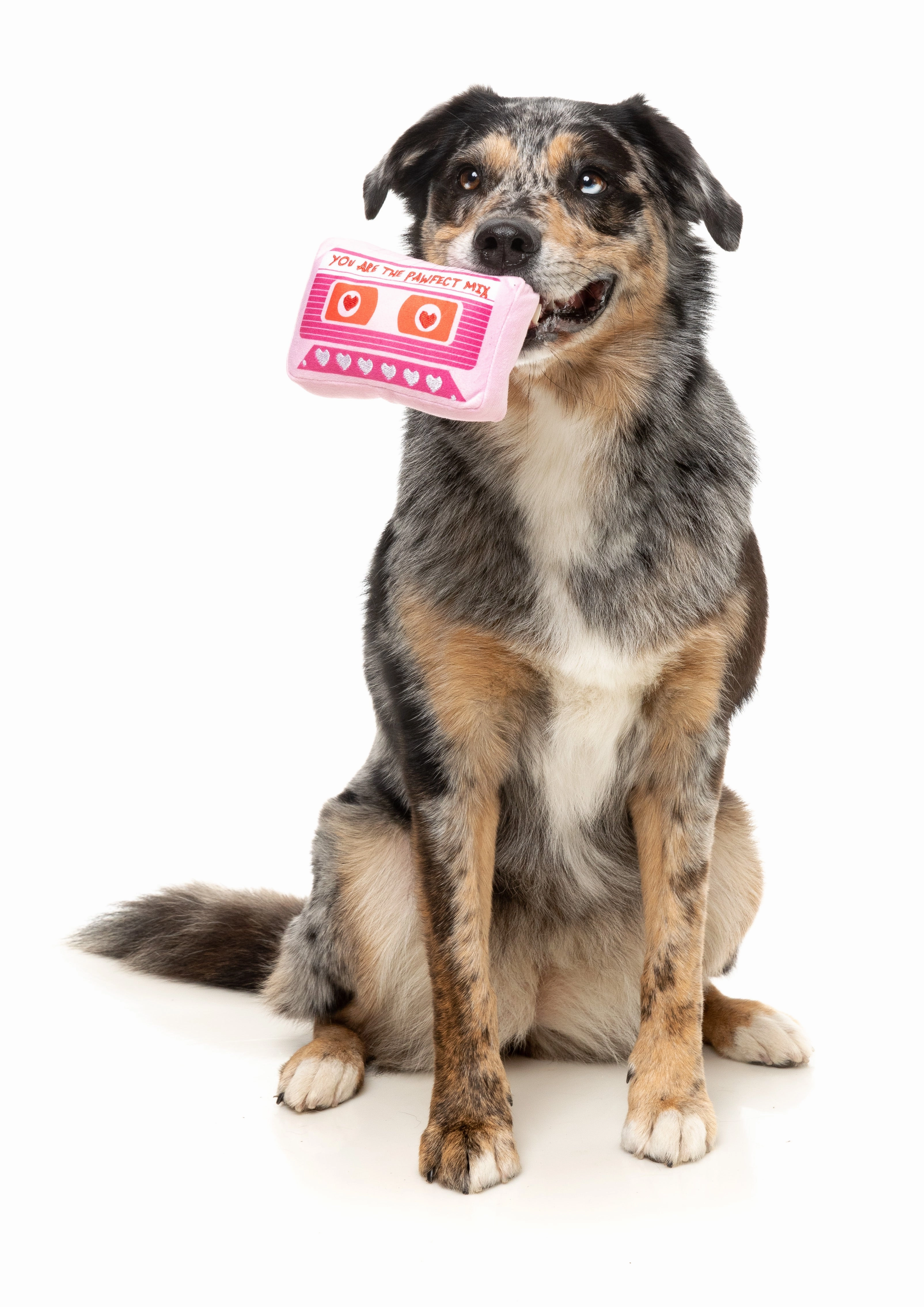 FuzzYard Valentine's Day Plush Dog Toy (Pawfect Mix Tape)