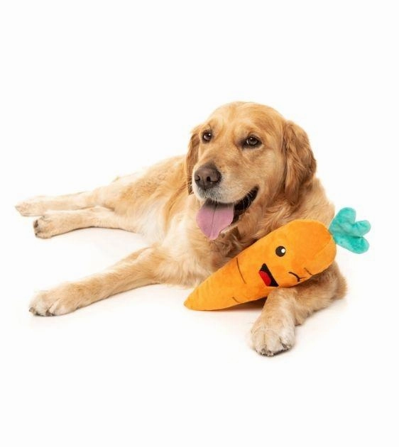 FuzzYard Winky Carrot Dog Plush Toy