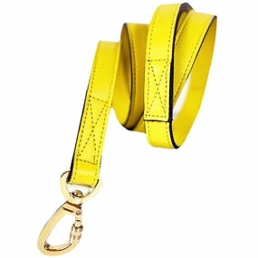 Galaxy Collection Dog Leash Canary Yellow dog mobility,outdoor pet aid