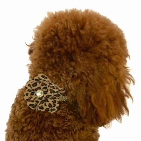 Garden Flower Dog Collar Slider Cheetah dog collar accessory,collar decor