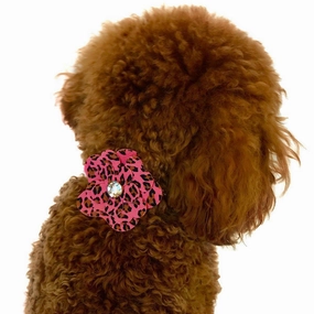 Garden Flower Dog Collar Slider Pink Cheetah dog collar accessory,collar decor