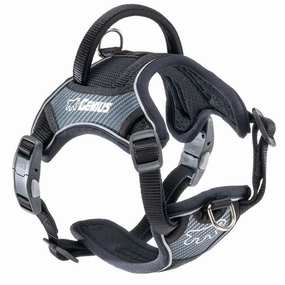 GENIUS P dog harness,training harness