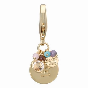 Gold Initial E Dog Collar Charm dog collar charm,pet tag