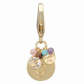 Gold Initial G Dog Collar Charm dog collar charm,pet tag