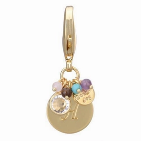 Gold Initial H Dog Collar Charm dog collar charm,pet tag