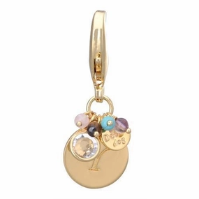 Gold Initial Y Dog Collar Charm dog collar charm,pet tag