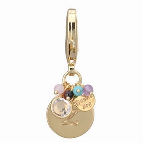 Gold Initial Z Dog Collar Charm dog collar charm,pet tag
