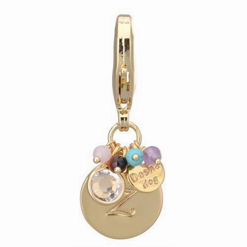 Gold Initial Z Dog Collar Charm dog collar charm,pet tag