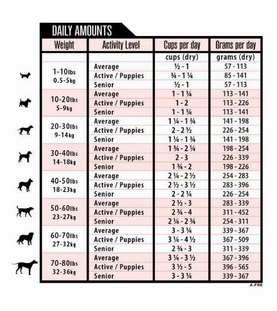 Grandma Lucy's Artisan Freeze Dried Pork Recipe Dog Food