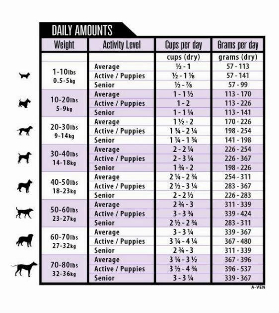 Grandma Lucy's Artisan Freeze Dried Venison Recipe Dog Food