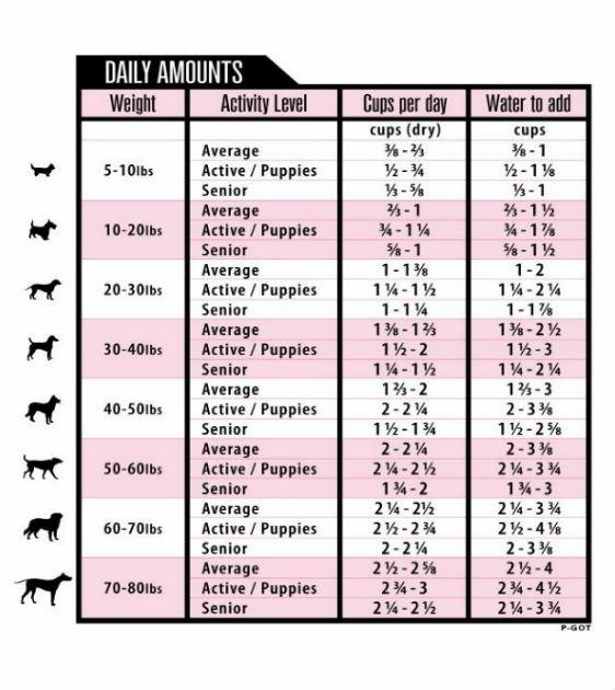 Grandma Lucys PureFormance Freeze Dried Goat Recipe Dog Food