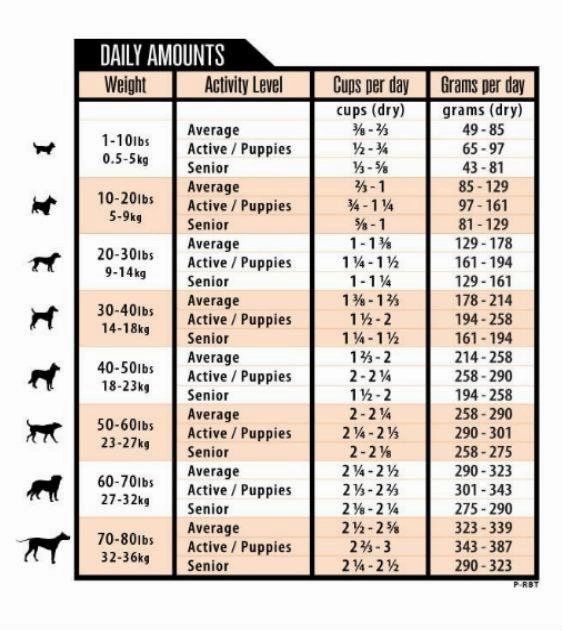 Grandma Lucys PureFormance Freeze Dried Rabbit Recipe Dog Food