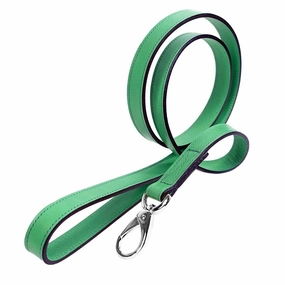 Hamilton Collection Dog Leash Emerald/Nickel dog mobility,outdoor pet aid
