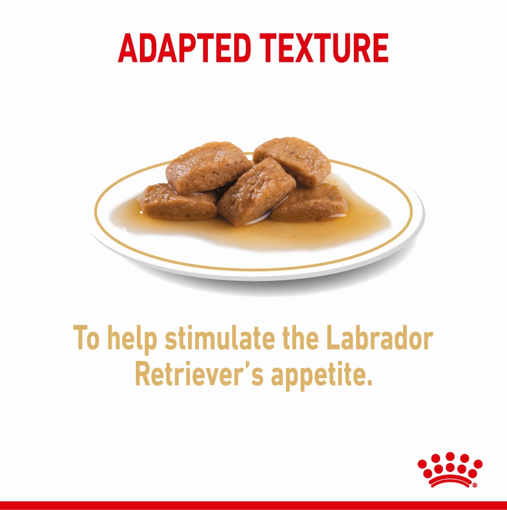 Henlo Baked Adult Dry Food and Royal Canin Chunks In Gravy Labrador Retriever Adult Wet Dog Food Combo
