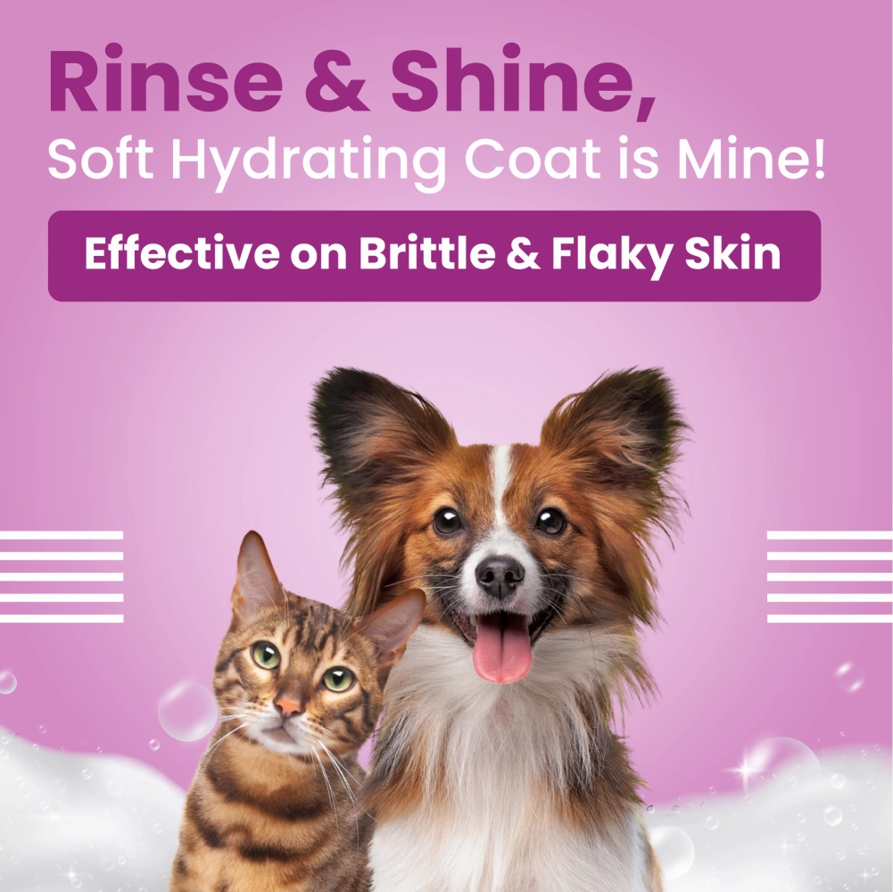 Henlo Chicken Vegetable Baked Adult Dry Food, Bark Out Loud Allergy Itch Relief Shampoo Dogs Combo