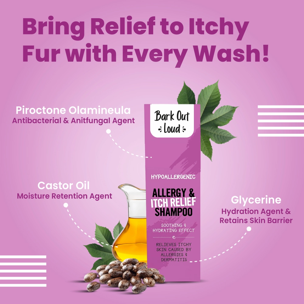 Henlo Chicken Vegetable Baked Adult Dry Food, Bark Out Loud Allergy Itch Relief Shampoo Dogs Combo
