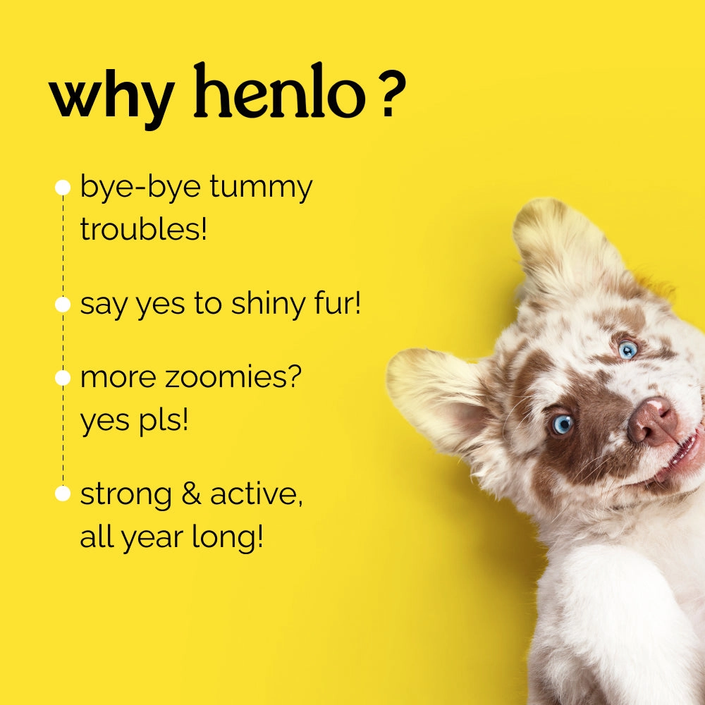 Henlo Chicken Vegetable Baked Adult Dry Food, Bark Out Loud Allergy Itch Relief Shampoo Dogs Combo