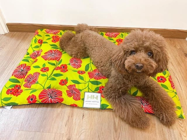 Henry Hottie Cafe Dog Mat
