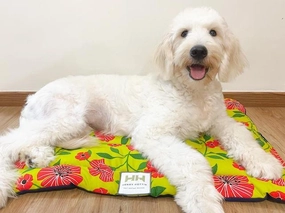 Henry Hottie Cafe Dog Mat dog bed,pet blanket