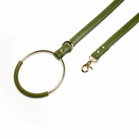 Hoopsy Dog Leash Nopal Green dog mixer,pet meal booster
