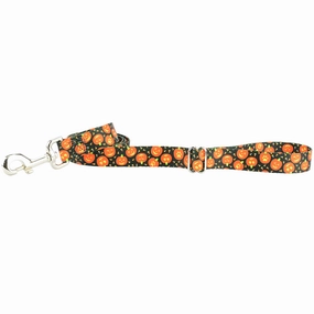 Jack O Lantern EarthStyle Dog Leash dog mobility,outdoor pet aid