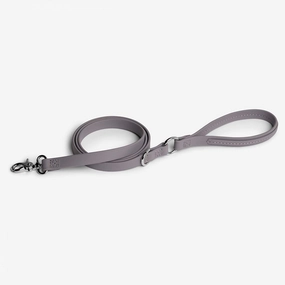 Jump Around Dog Leash Sea Lavender dog mixer,pet meal booster