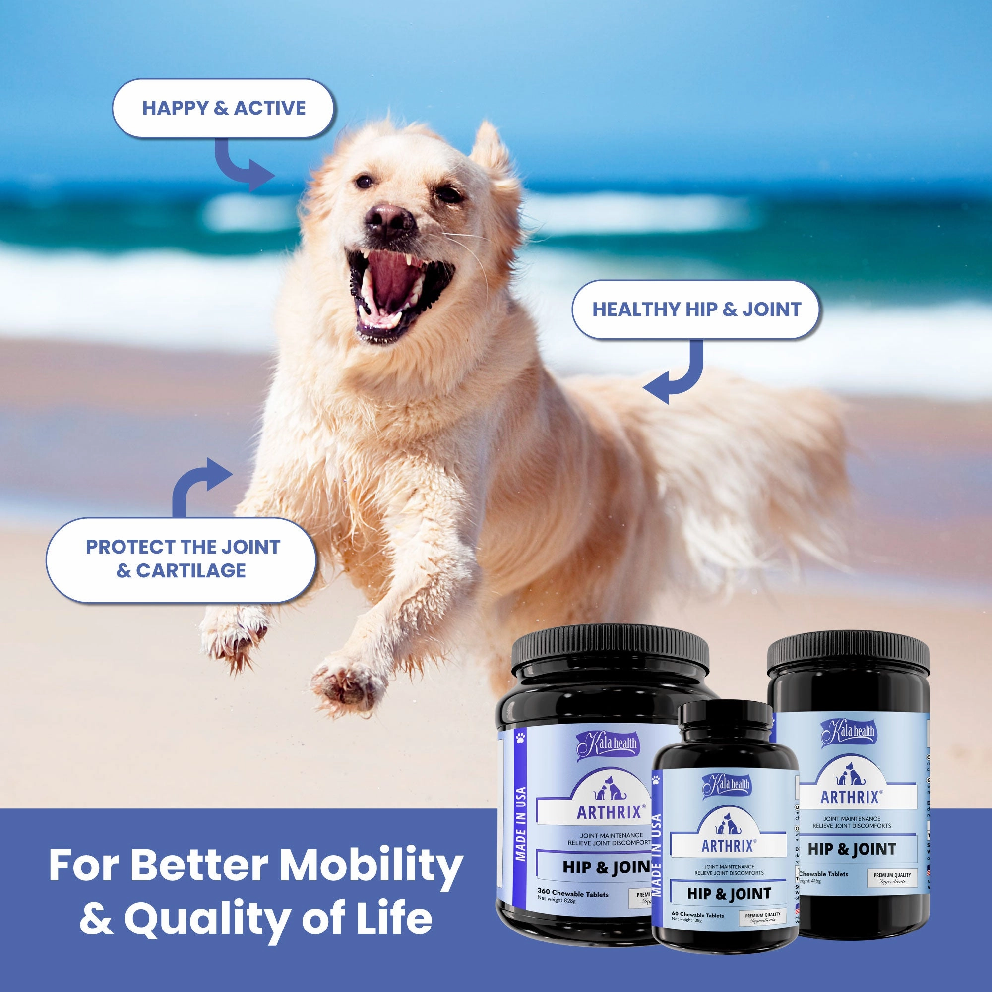 Kala Health ARTHRIX (Hip & Joint) Joint Maintenance Supplement for Dogs and Cats