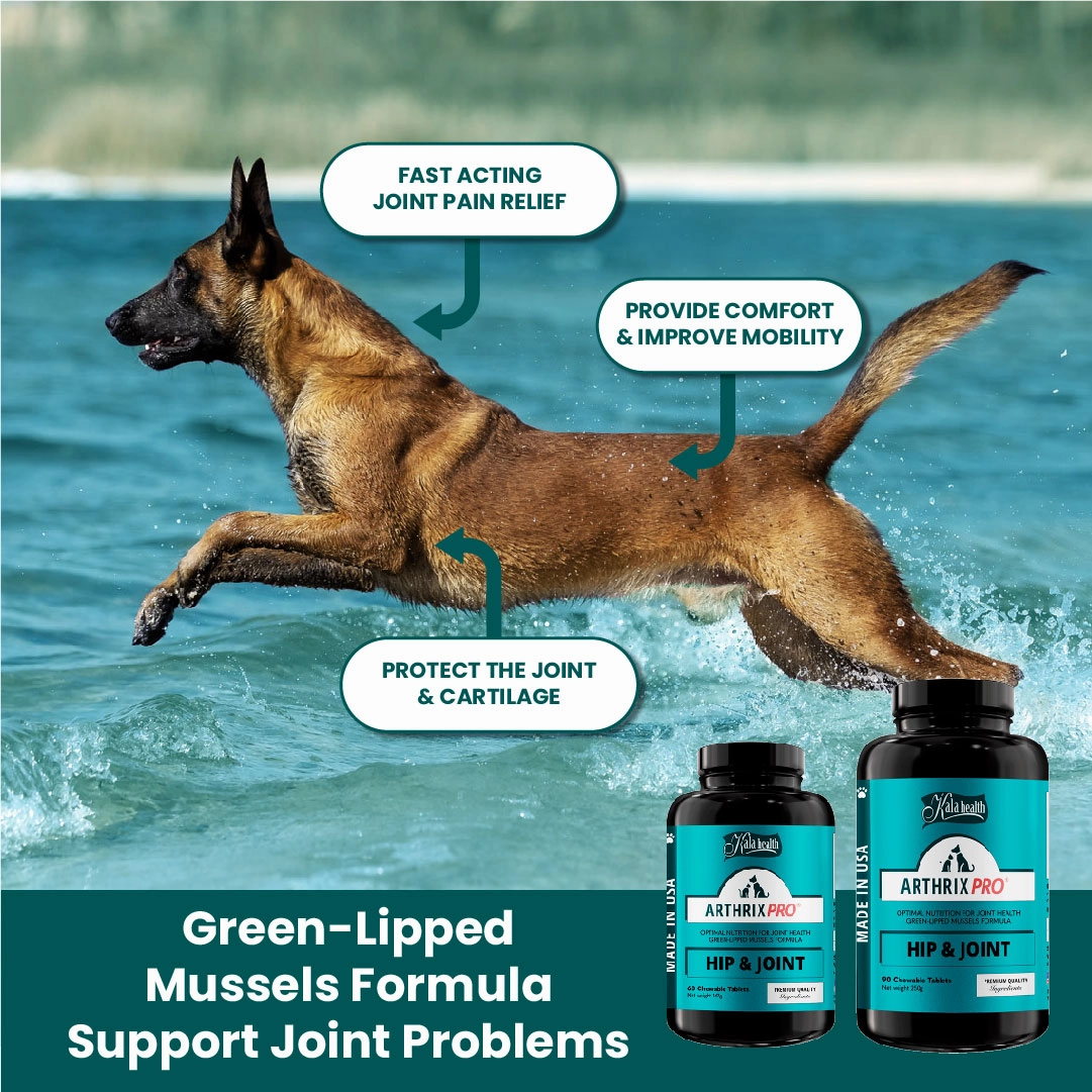 Kala Health ARTHRIX PRO (Hip & Joint) Optimal Nutrition for Joint Health Supplement for Dogs and Cats