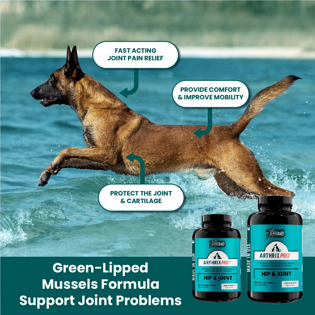 Kala Health ARTHRIX PRO (Hip & Joint) Optimal Nutrition for Joint Health Supplement for Dogs and Cats