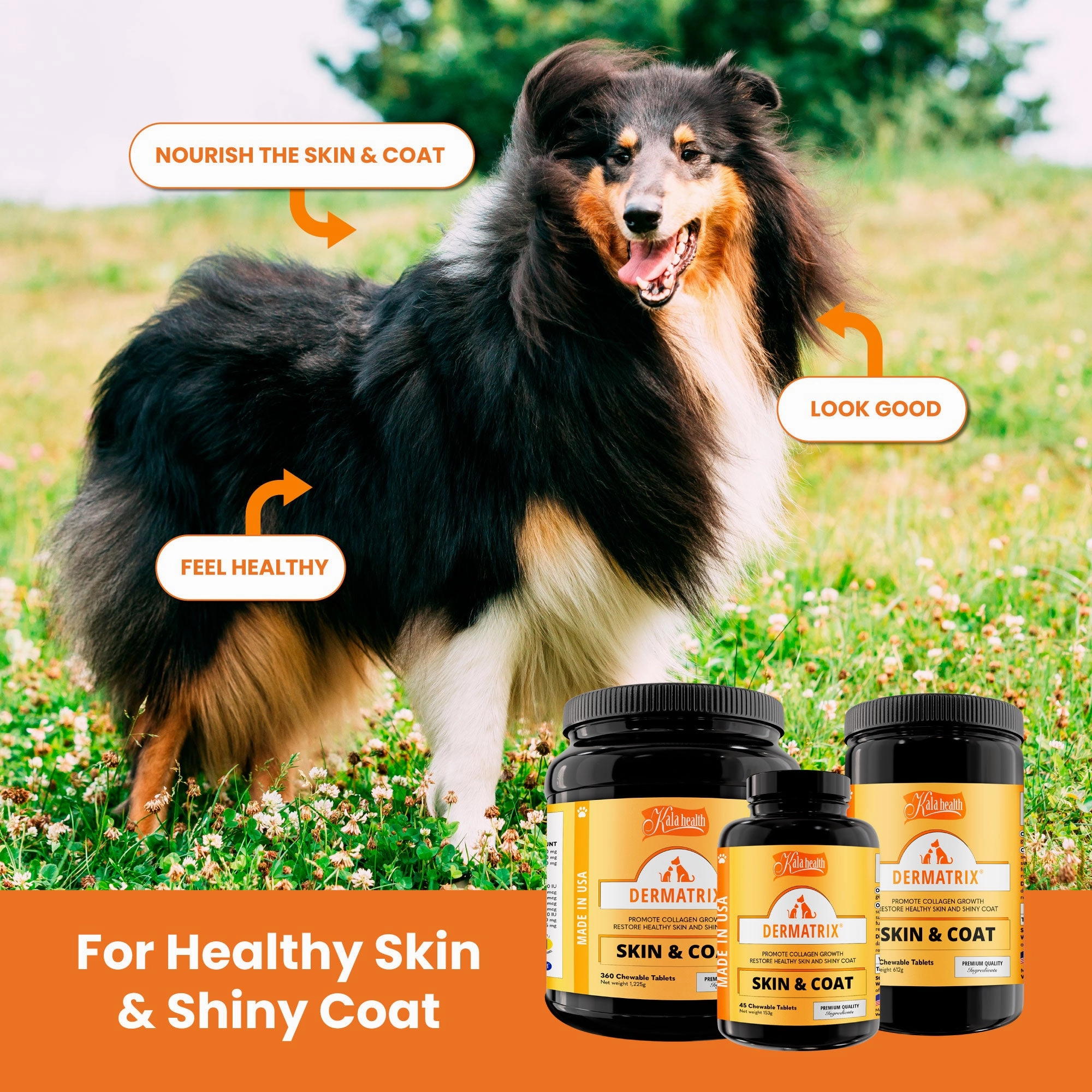 Kala Health DERMATRIX (Skin & Coat) Promote Collagen Growth Supplements for Dogs and Cats