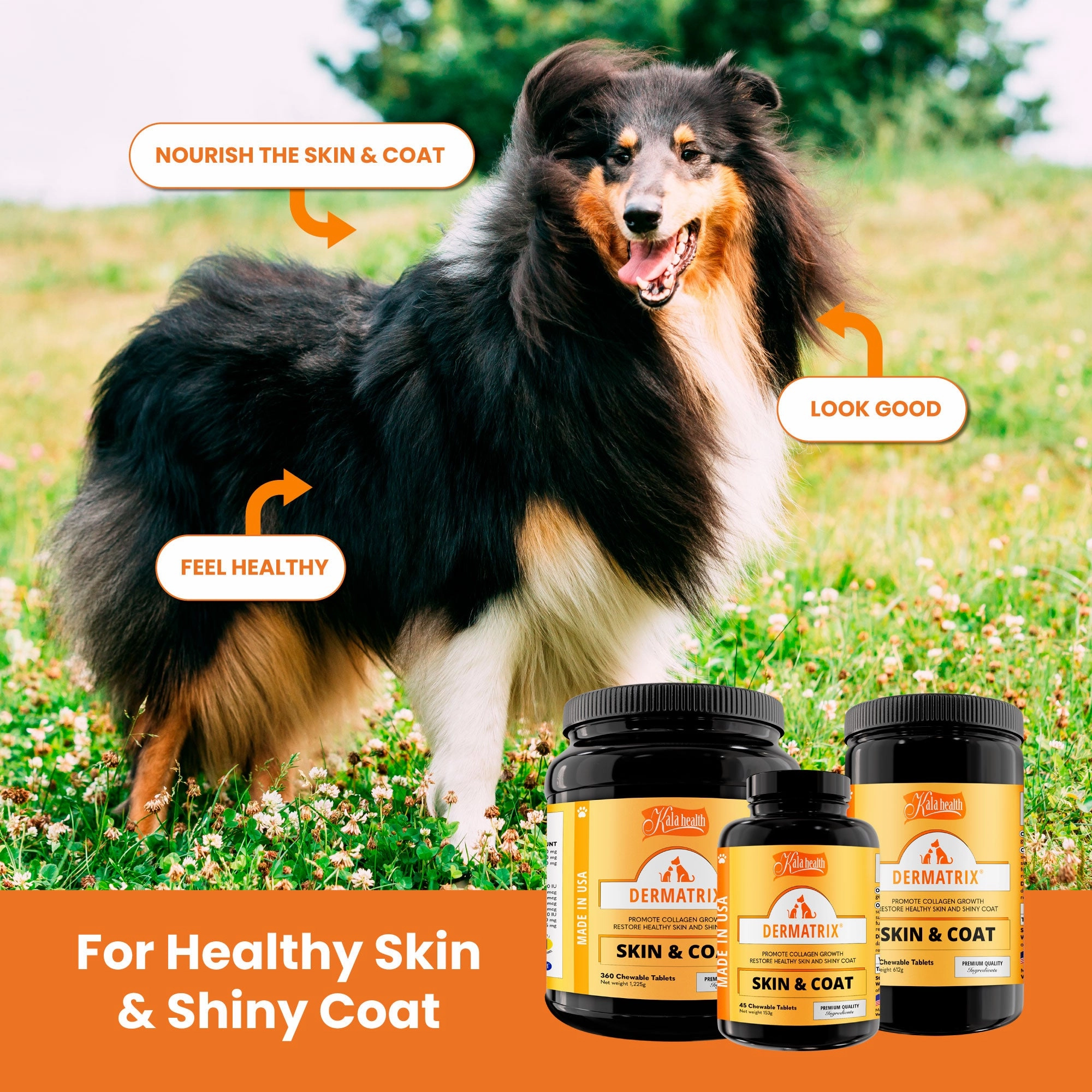 Kala Health DERMATRIX (Skin & Coat) Promote Collagen Growth Supplements for Dogs and Cats