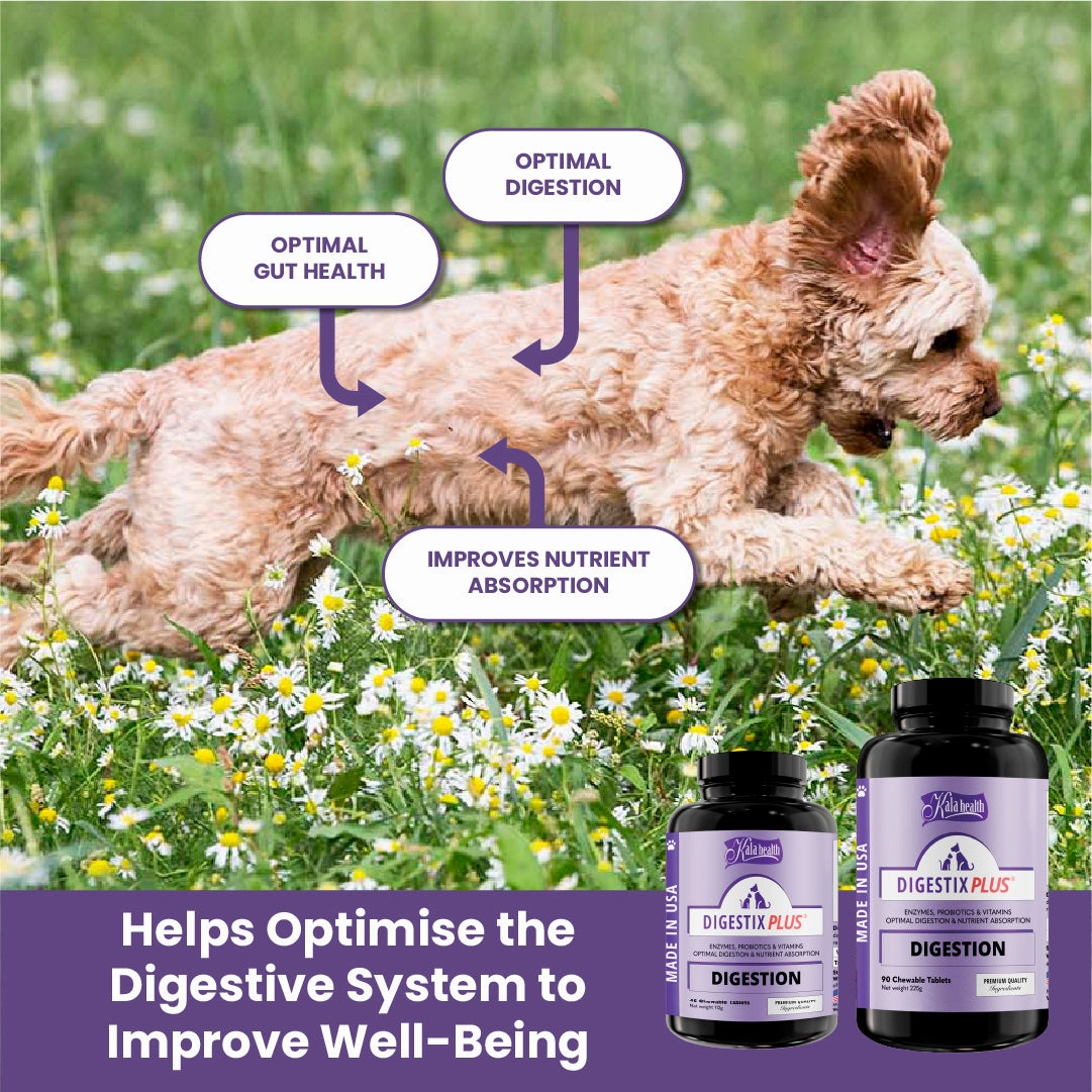 Kala Health DIGESTIX PLUS (Digestion) Optimal DIgestion & Nutrient Absorption Supplements for Dogs and Cats
