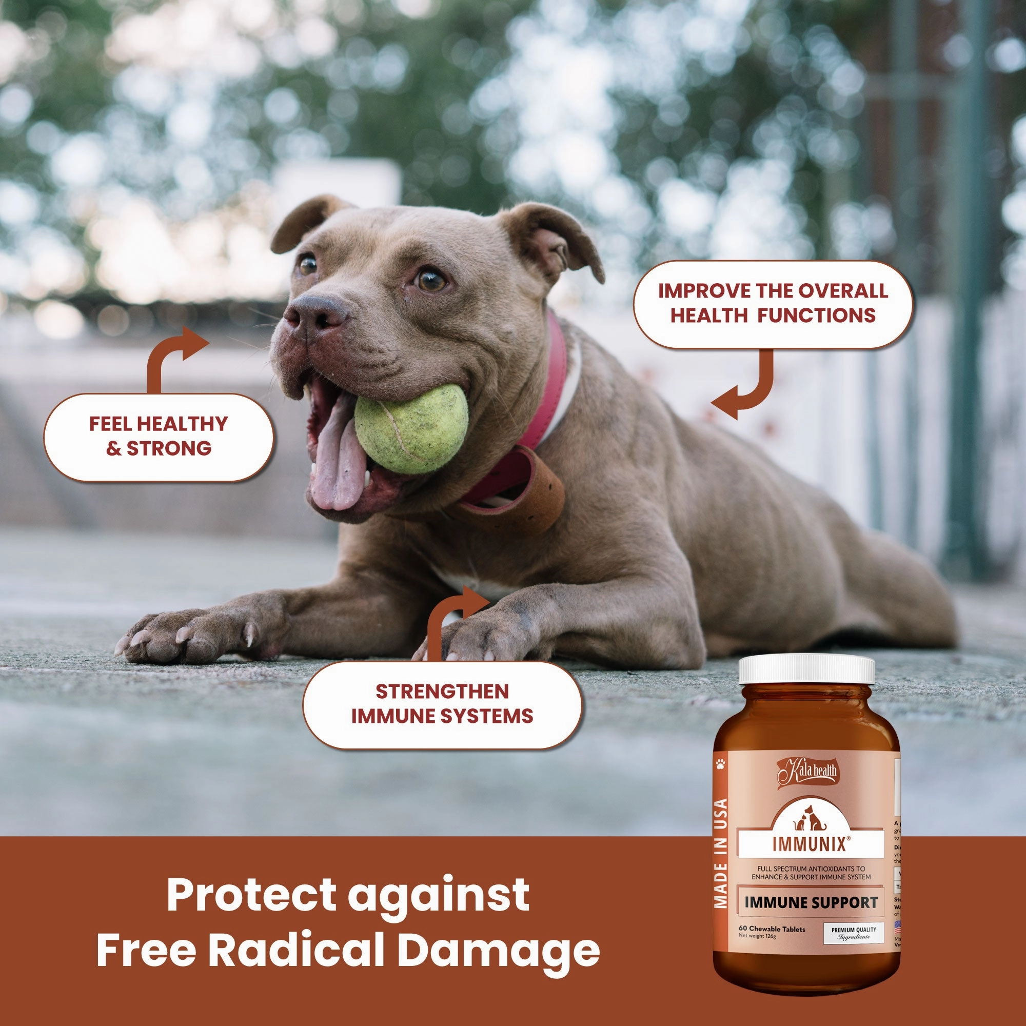 Kala Health IMMUNIX (Immune Support) Full Spectrum Antioxidants Supplements for Dogs and Cats
