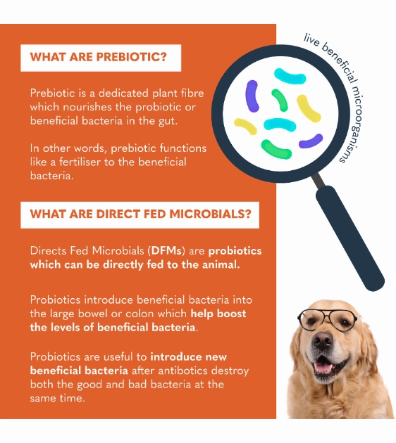 Kala Health PROBIOTIX IMPROVED Supplement for Dogs and Cats