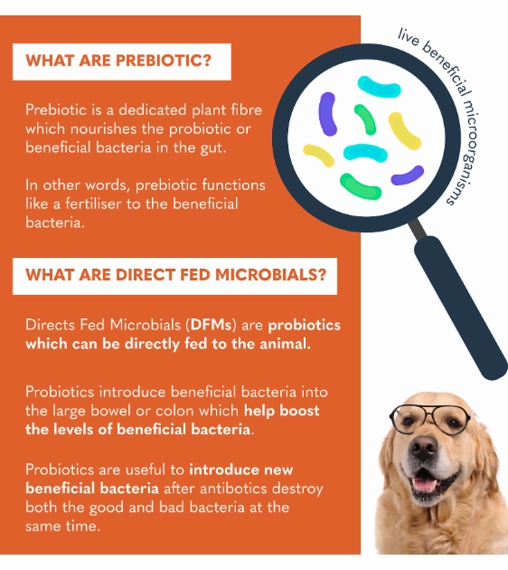 Kala Health PROBIOTIX PLUS Probiotic Gel for Dogs & Cats