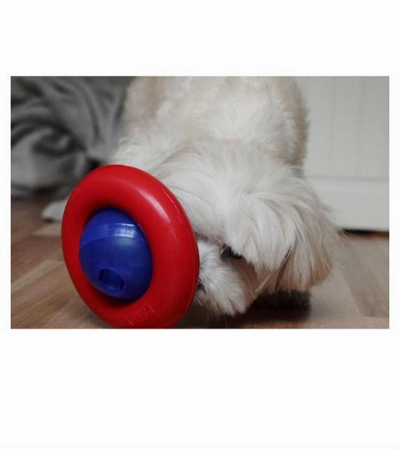 Kong Gyro Interactive Dog Toy