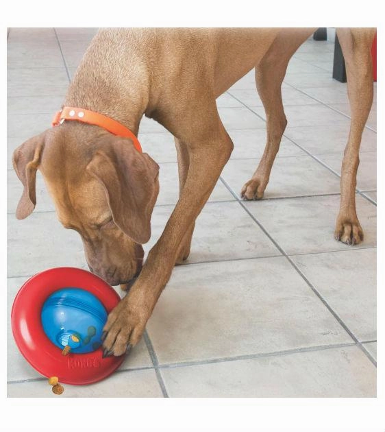 Kong Gyro Interactive Dog Toy