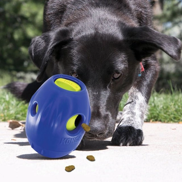 Kong Interactive Tikr Dog Toy