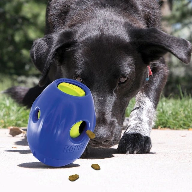 Kong Interactive Tikr Dog Toy