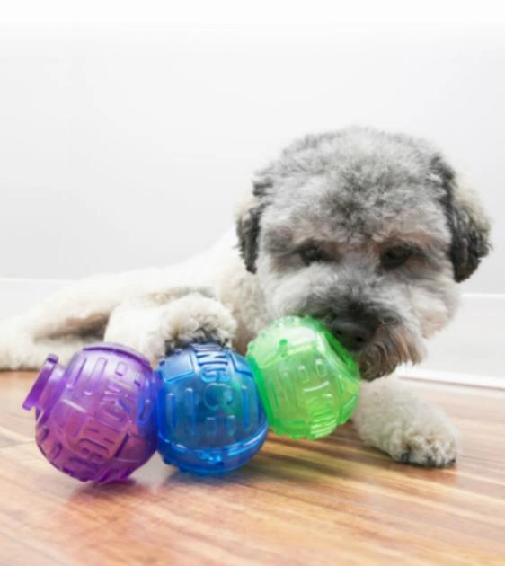 Kong Lock-It 3-pk Dog Toy