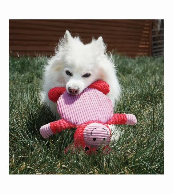 Kong Low Stuff Pig Crackle Tummiez Dog Toy