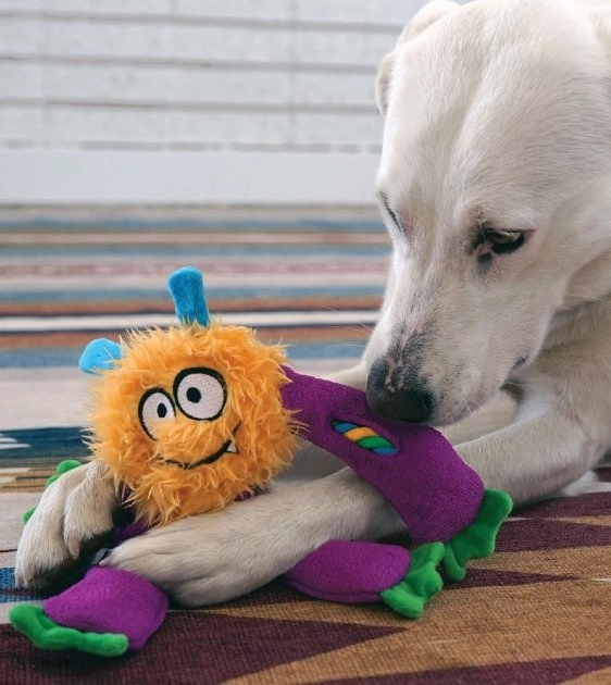 Kong Sneakerz Knots Dog Toy (Assorted Colours)