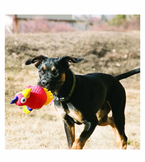 Kong Wiggi Parrot Dog Toy