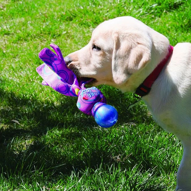 Kong Wubba Cosmos Dog Toy (Assorted Colours)