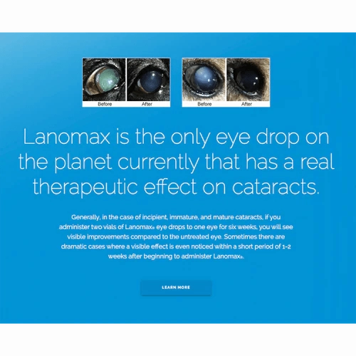 Lanomax Cataract-Dissolving Lanosteral Eye Drops for Dogs & Cats