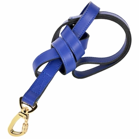 Leap Frog Collection Dog Leash Cobalt Blue dog mixer,pet meal booster
